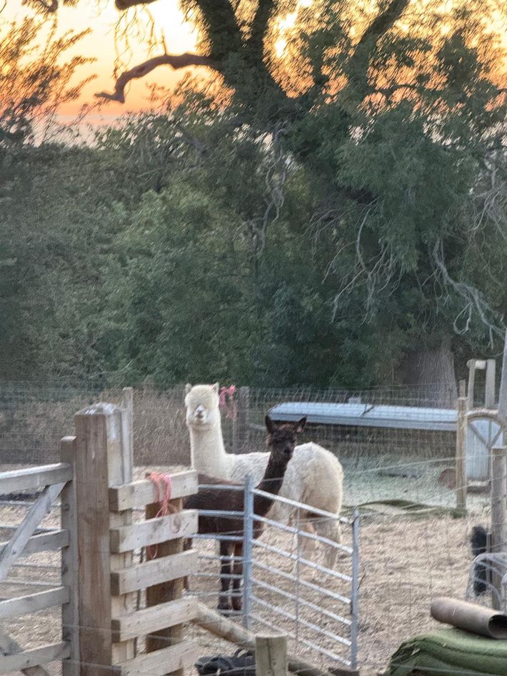 Iron Oak Farm Aire