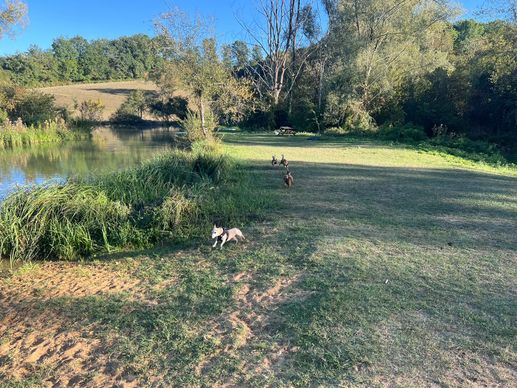 Added a photo to a location