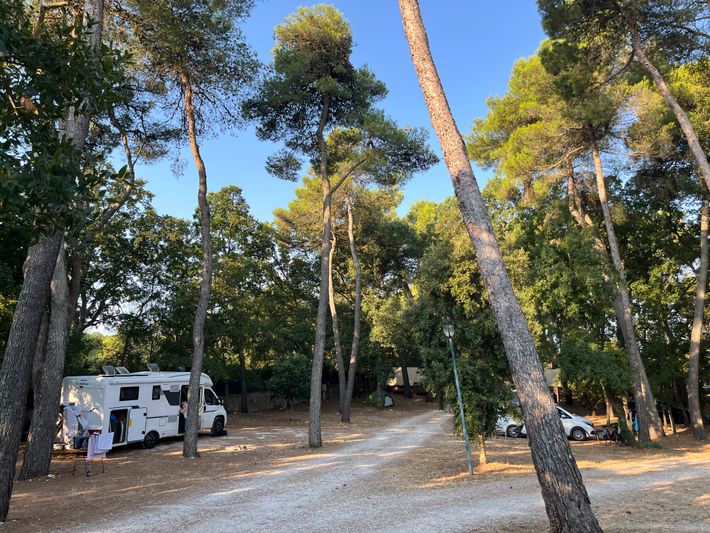 Villaggio Camping Bosco Selva