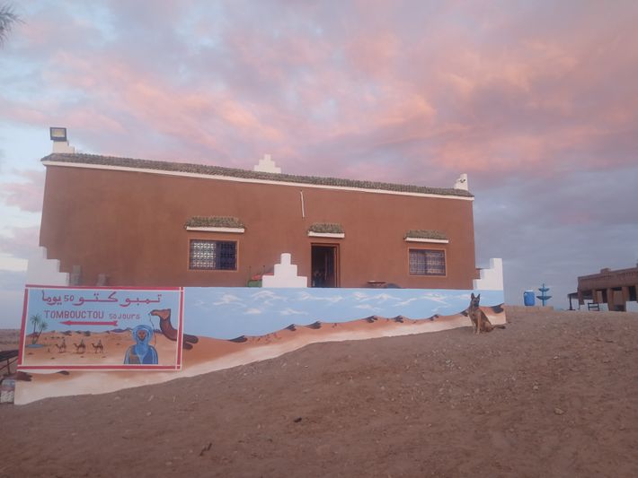 Camping La Boussole  Sahara