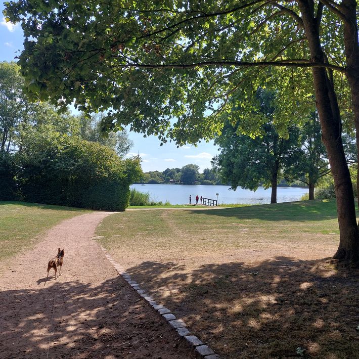 Vörder See