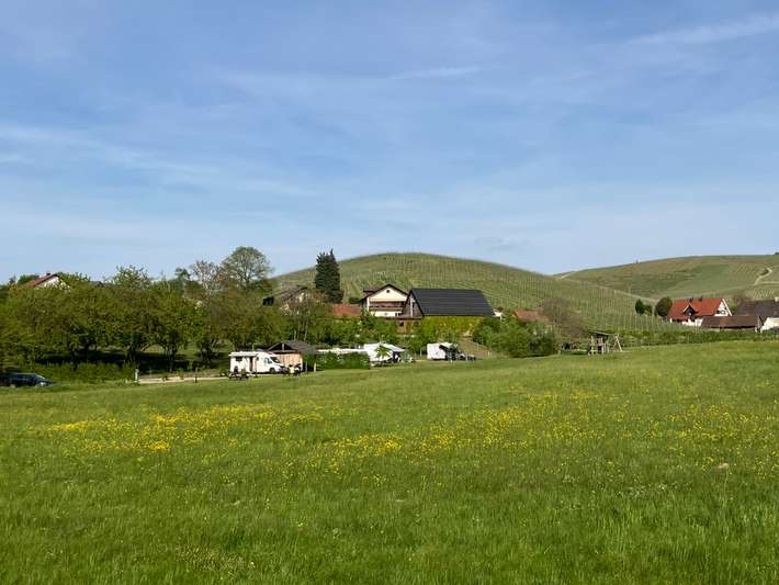 Wiesencamp Wörner
