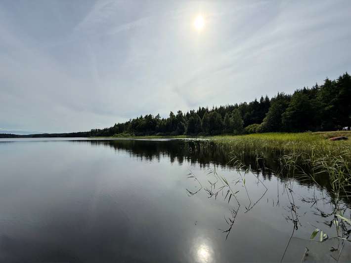 Bartveten där väste