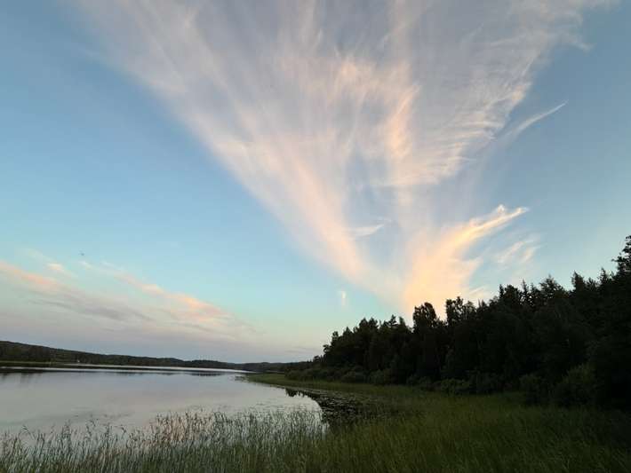 Bartveten där väste