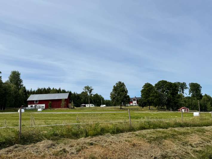 Bartveten där väste