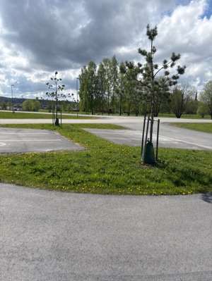 Een foto toegevoegd aan een locatie