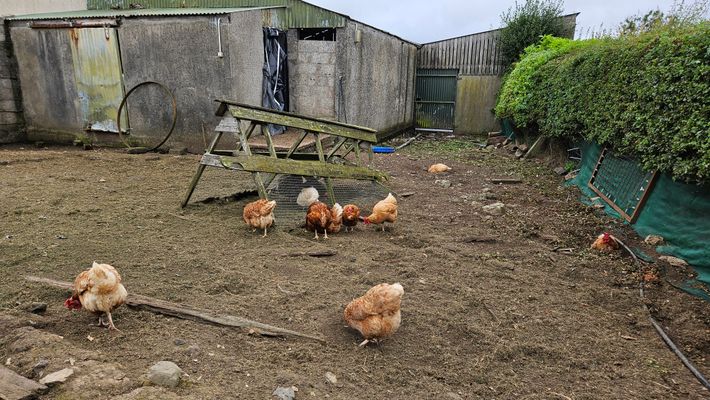 Feigh Farm Caravan Site