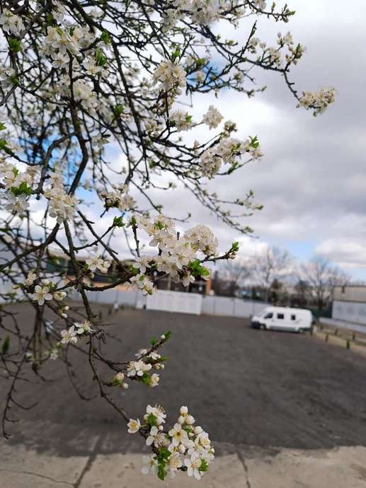 Added a photo to a location