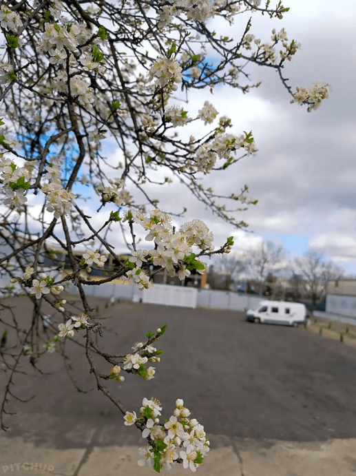Added a photo to a location