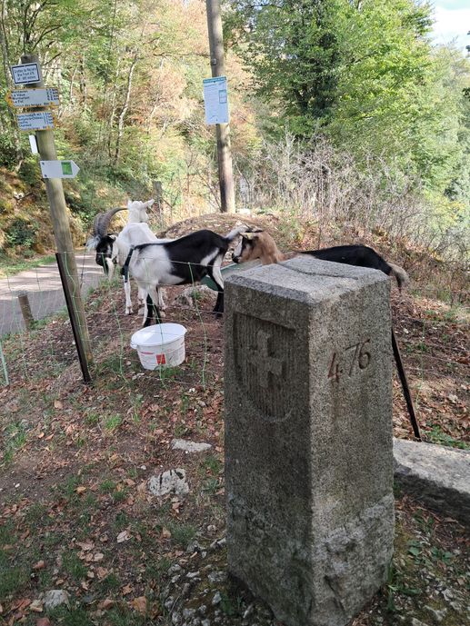 Einem Ort wurde ein Foto hinzugefügt