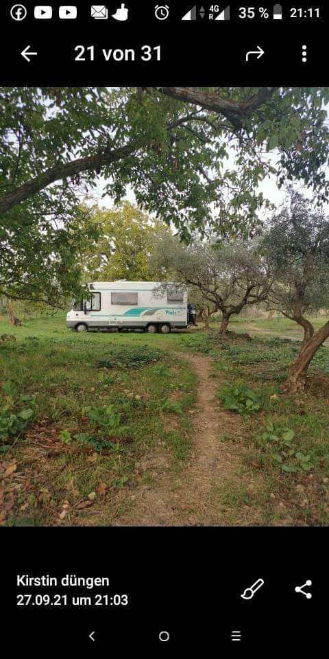 OliveUncle Naturcamping Oliveplantation