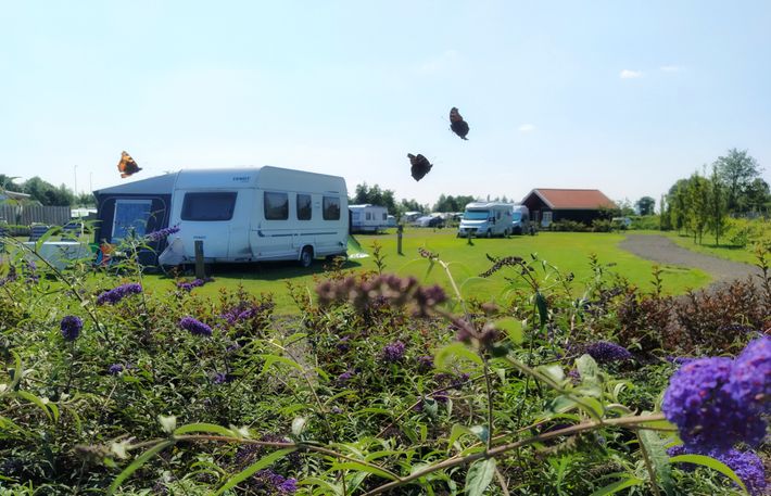 Camping Natuurlijk de Veenhoop