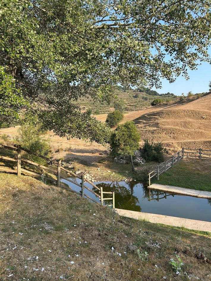 Acebedo Camper Park