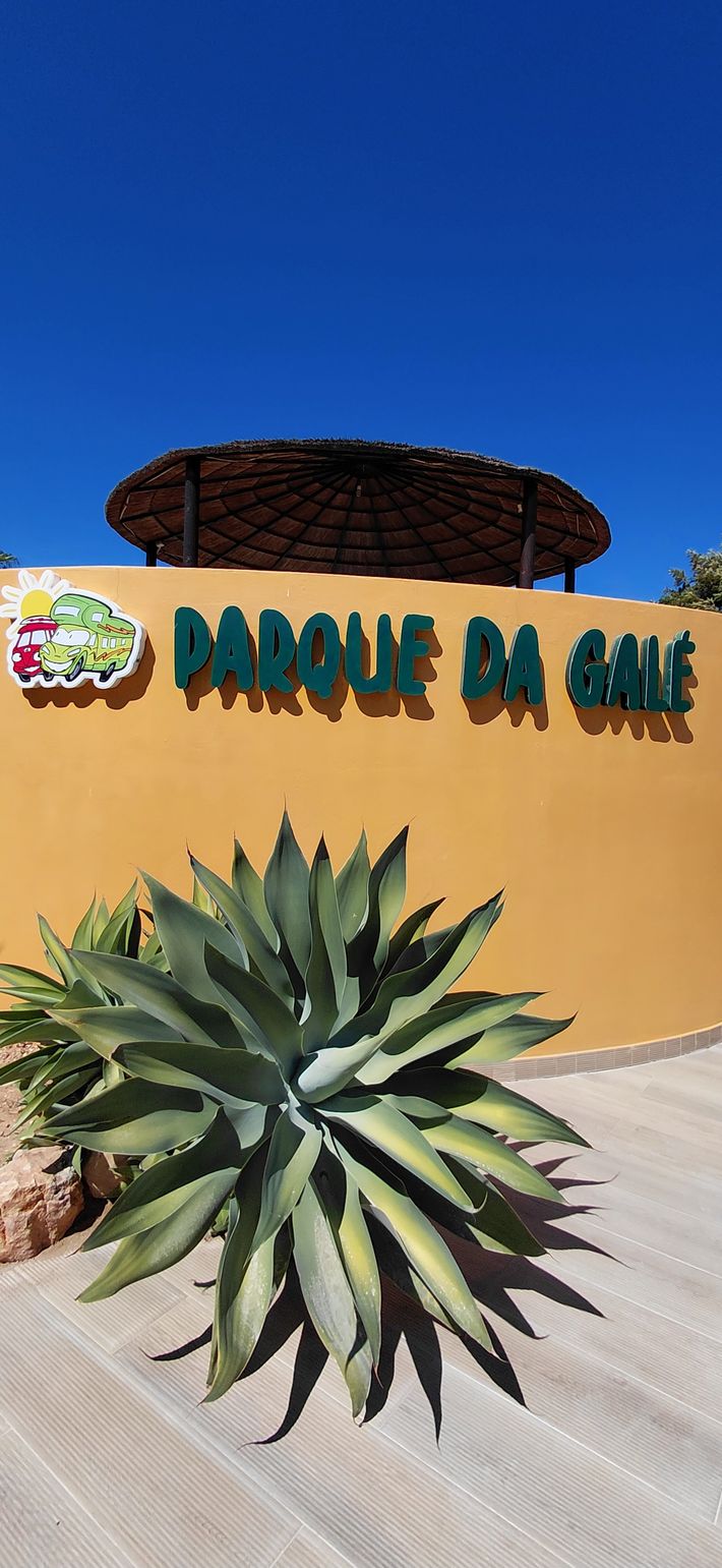 Parque da Gale - Área de campista