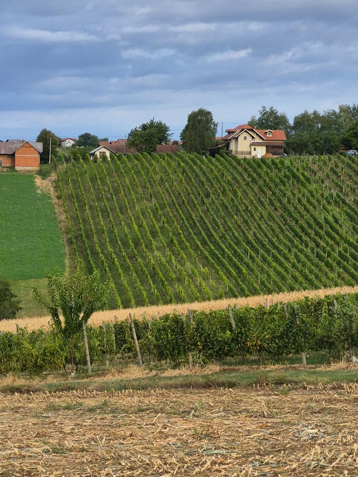 Tourist farm Püklavec