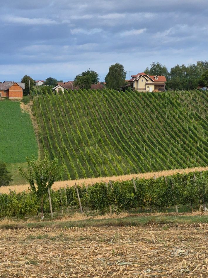 Tourist farm Püklavec