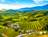 Saxida wine & camping resort photo 2