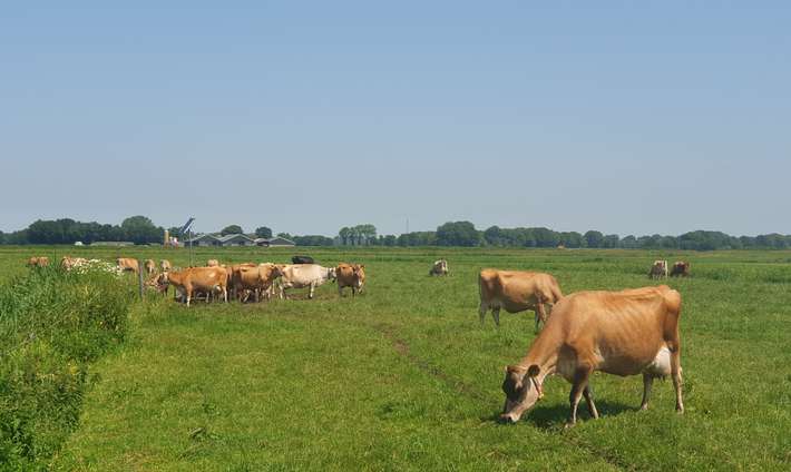 SVR -camping  Kemperhoeve