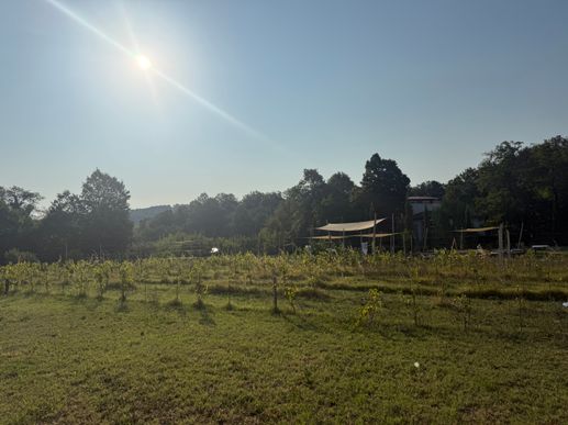Added a photo to a location
