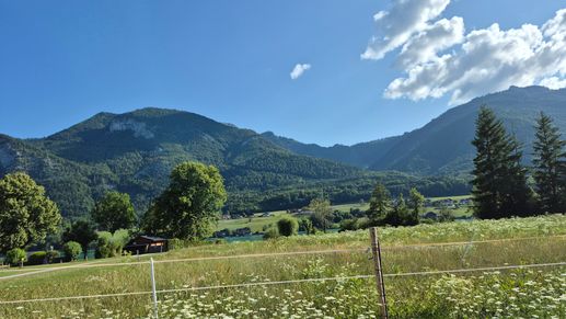 Added a photo to a location