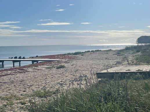 Een foto toegevoegd aan een locatie