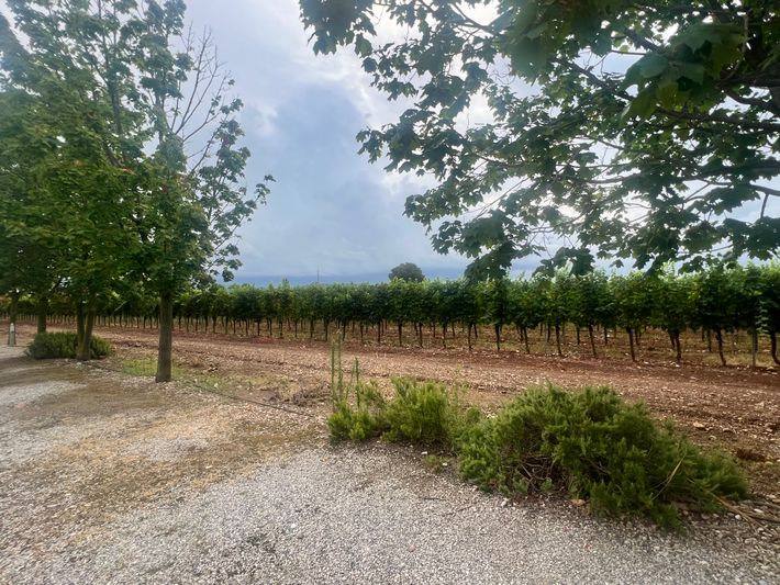 Agriturismo Ai Feudi