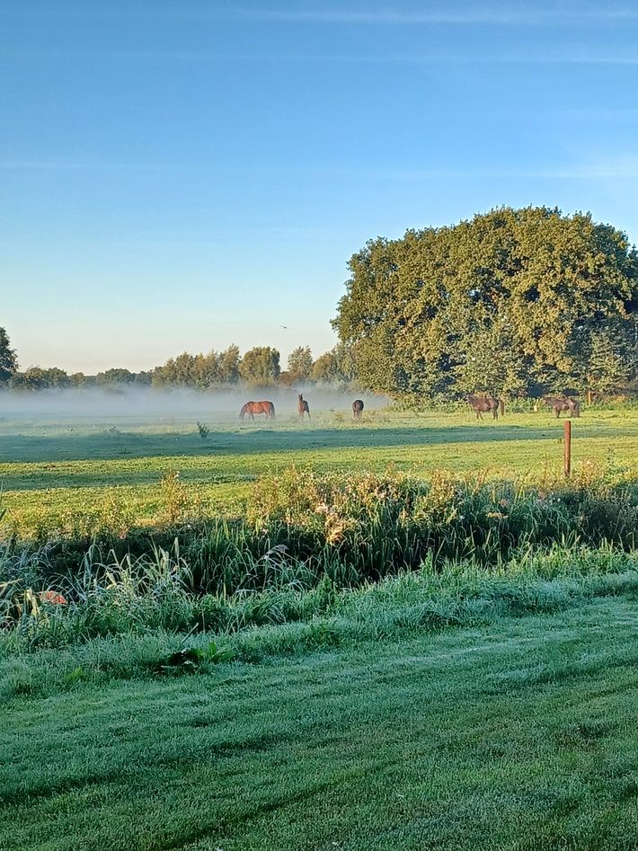 Camping De Grebbelinie