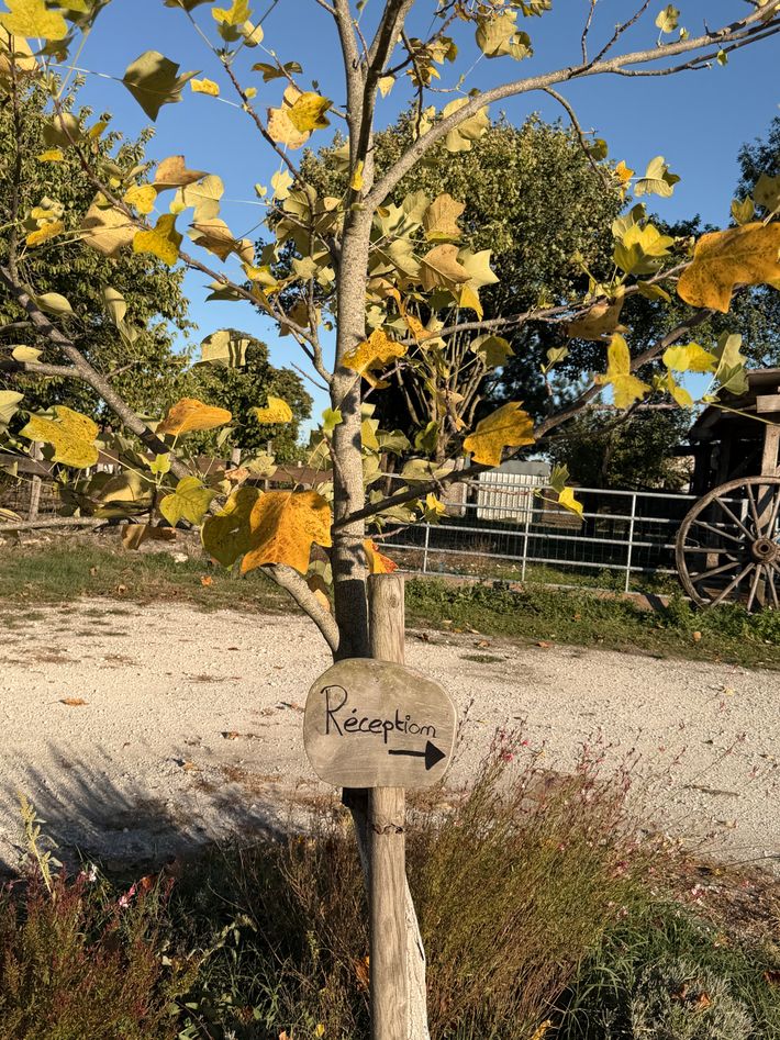 Camping Qugydo Ranch