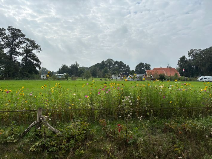 Camperplek Deldenerbroek