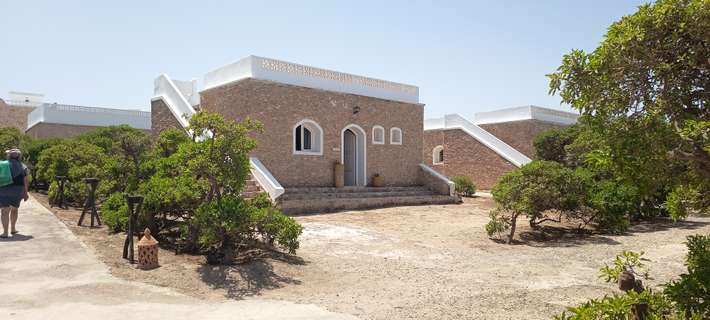 The Mogador's Oasis