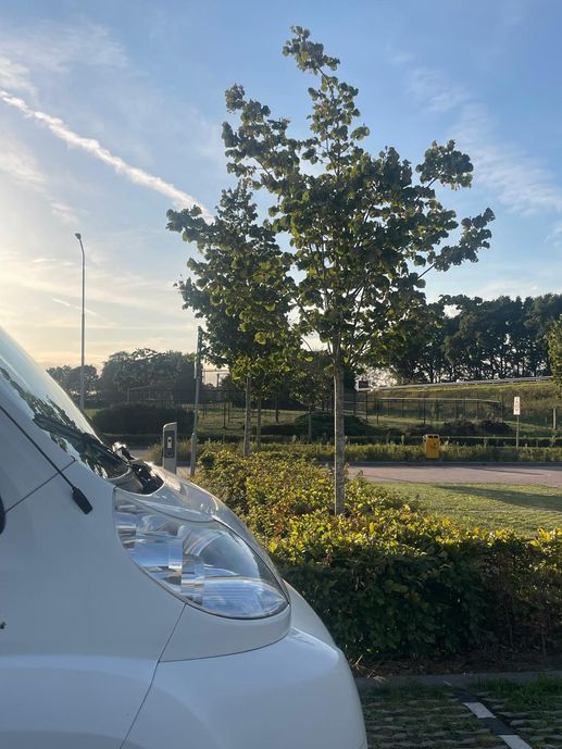 Een foto toegevoegd aan een locatie
