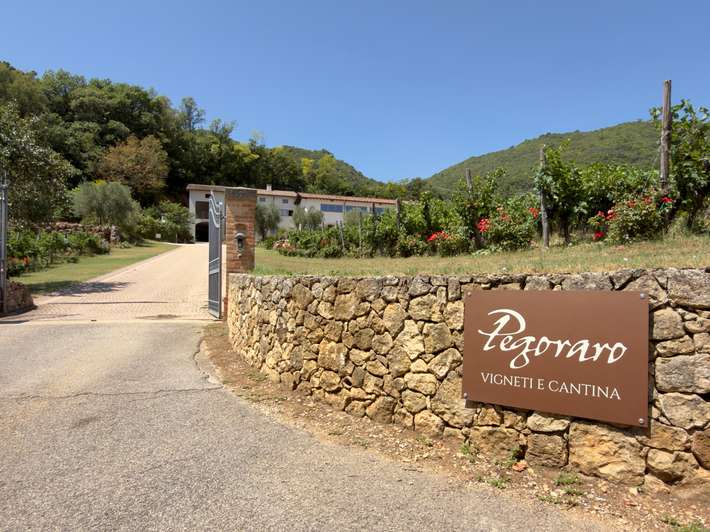 Azienda agricola Pegoraro
