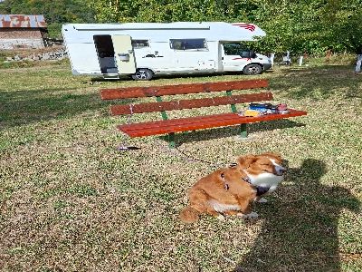 Lake Camping