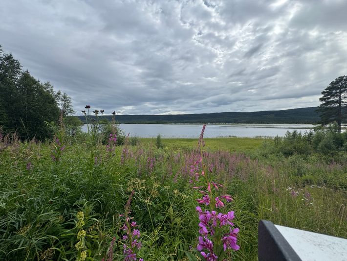 Storsjö Fjällturism och Fiskecamp