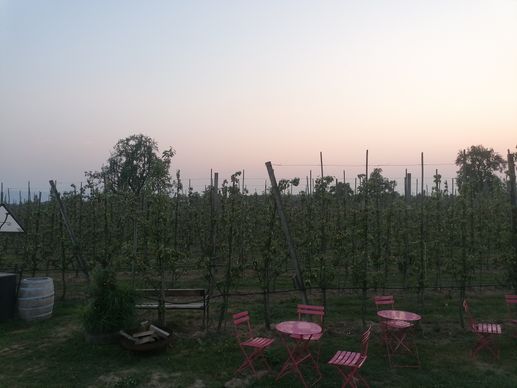 Added a photo to a location