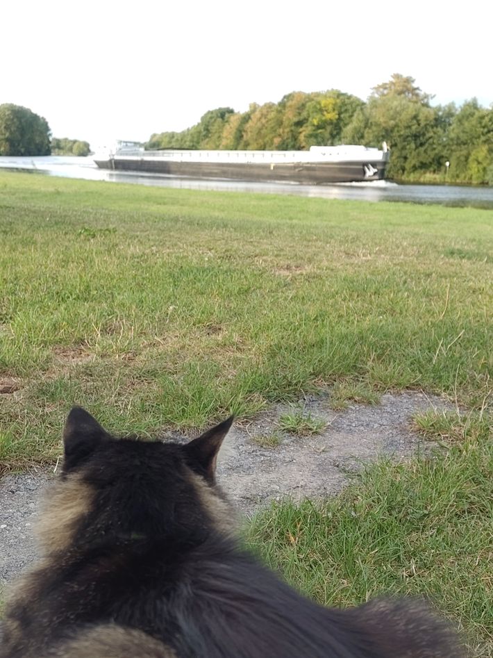 Wohnmobilstellplatz Weser-Ufer-Urlaub