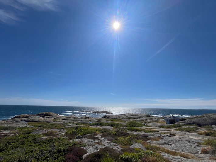Camping Brunvall gård