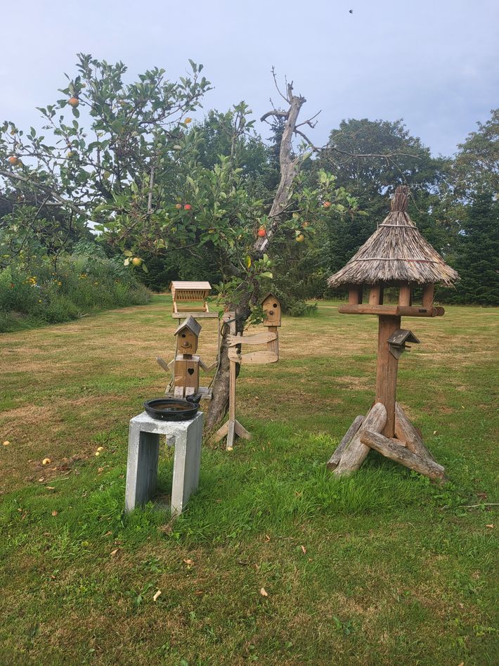 Camperplaats de Eikenhof
