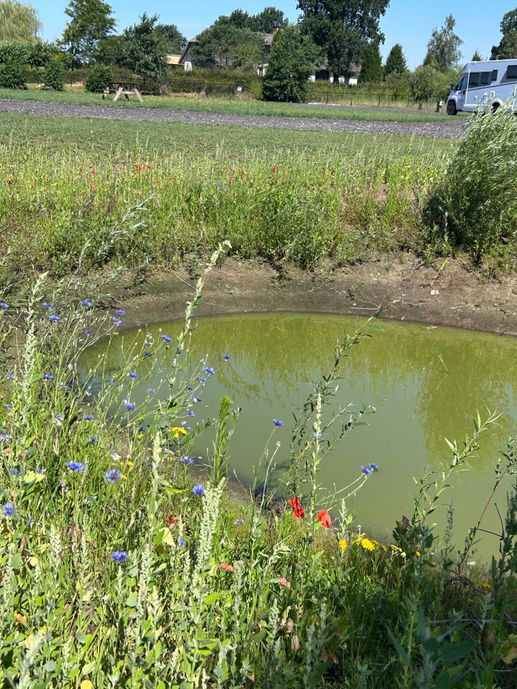 Een foto toegevoegd aan een locatie
