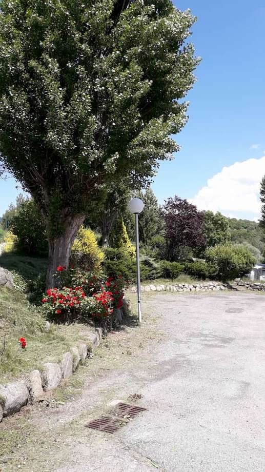 Added a photo to a location