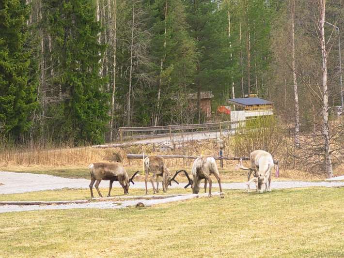 Strömbackens ställplatser och Bistro