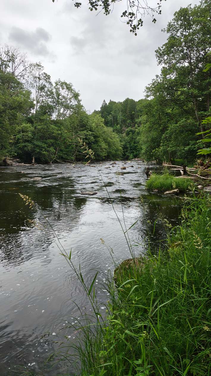 Brålands Gårds Naturcamping & Ställplatser