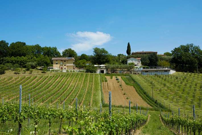 Agriturist Sant'Anna