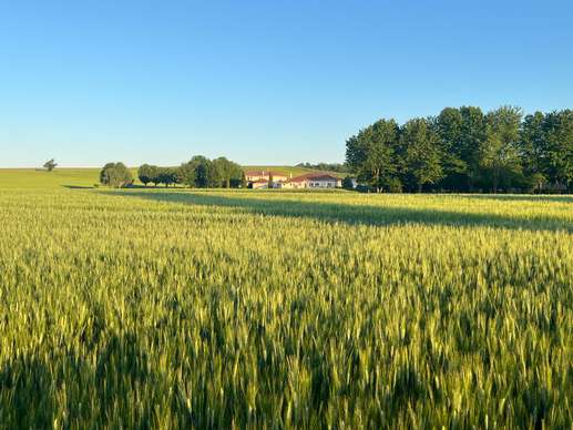 Een foto toegevoegd aan een locatie