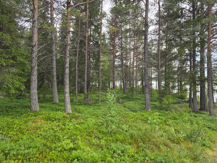 Storsjö