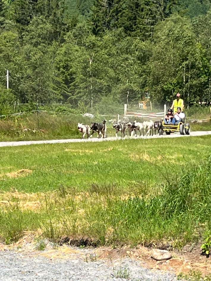 Sirdal husky farm