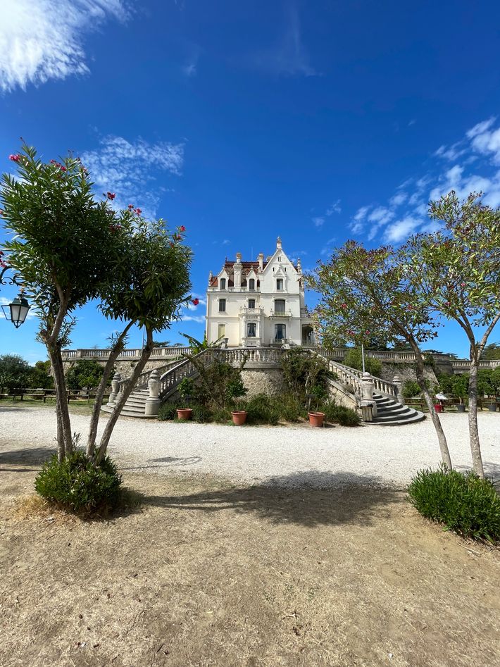 Domaine Des Mimosas