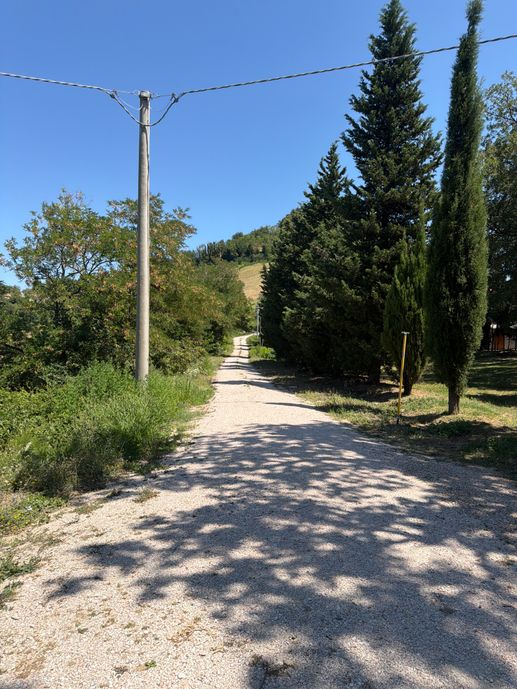 Einem Ort wurde ein Foto hinzugefügt