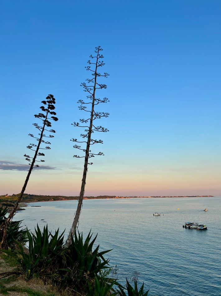 Area Sosta Sun Bay