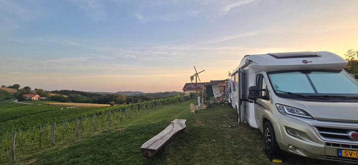 Püklavec